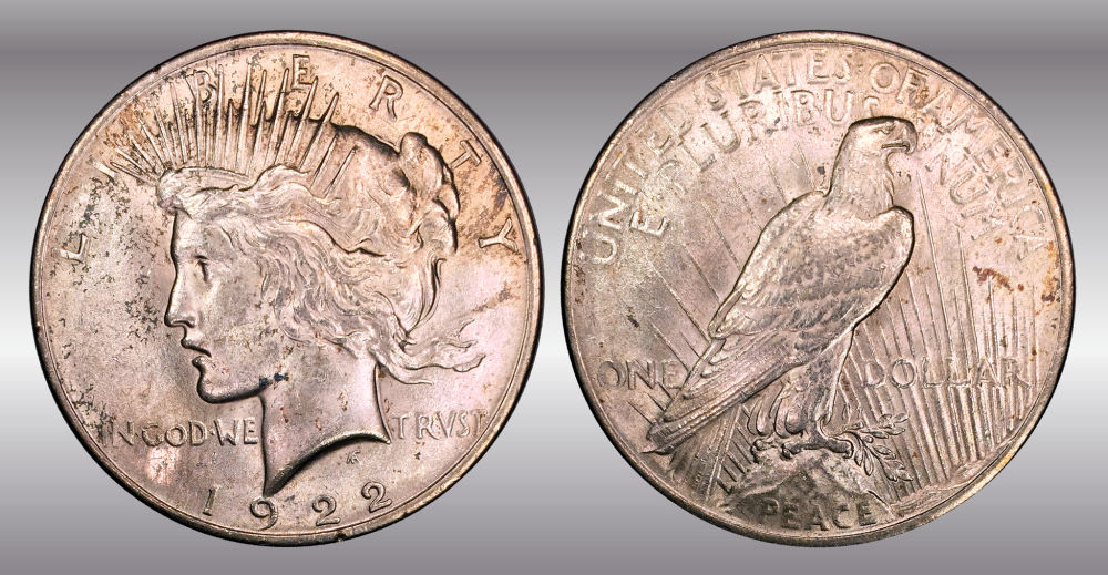 My-Raw-Peace-Dollar-Collection.-.-.-.-Warning!
